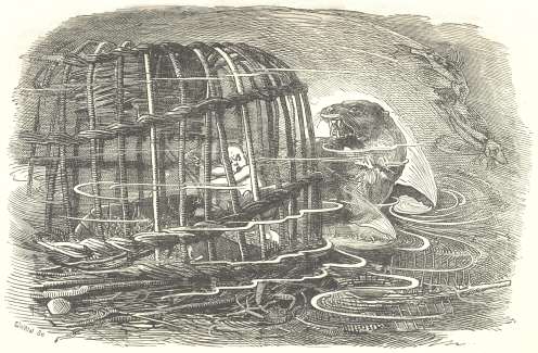 Tom, the lobster and otter