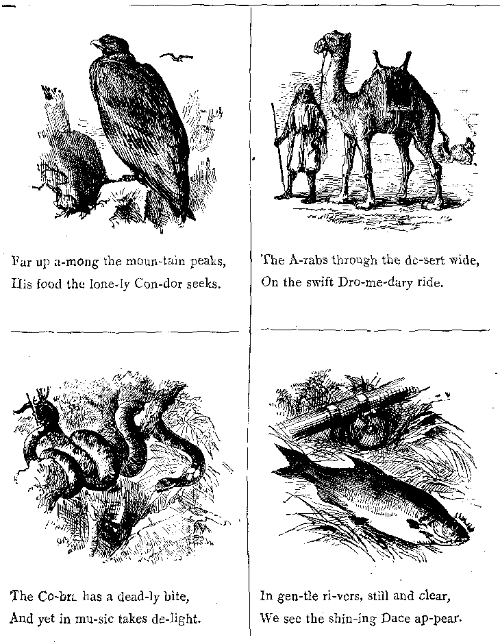Far up A-mong the Moun-tain Peaks, His Food the Lone-ly Con-dor Seeks.