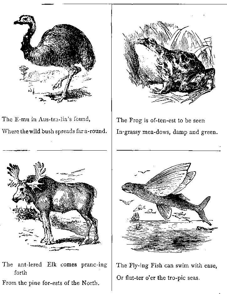 The E-mu in Aus-tra-lia's Found, Where the Wild Bush Spreads Far A-round.