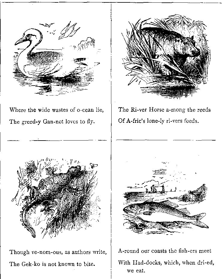 Where the Wide Wastes of O-cean Lie, The Greed-y Gan-net Loves to Fly.