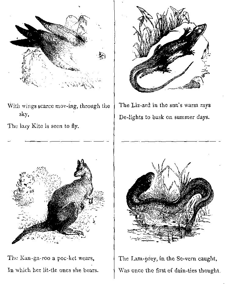 With Wings Scarce Mov-ing, Through the Sky, The Lazy Kite is Seen to Fly.}
