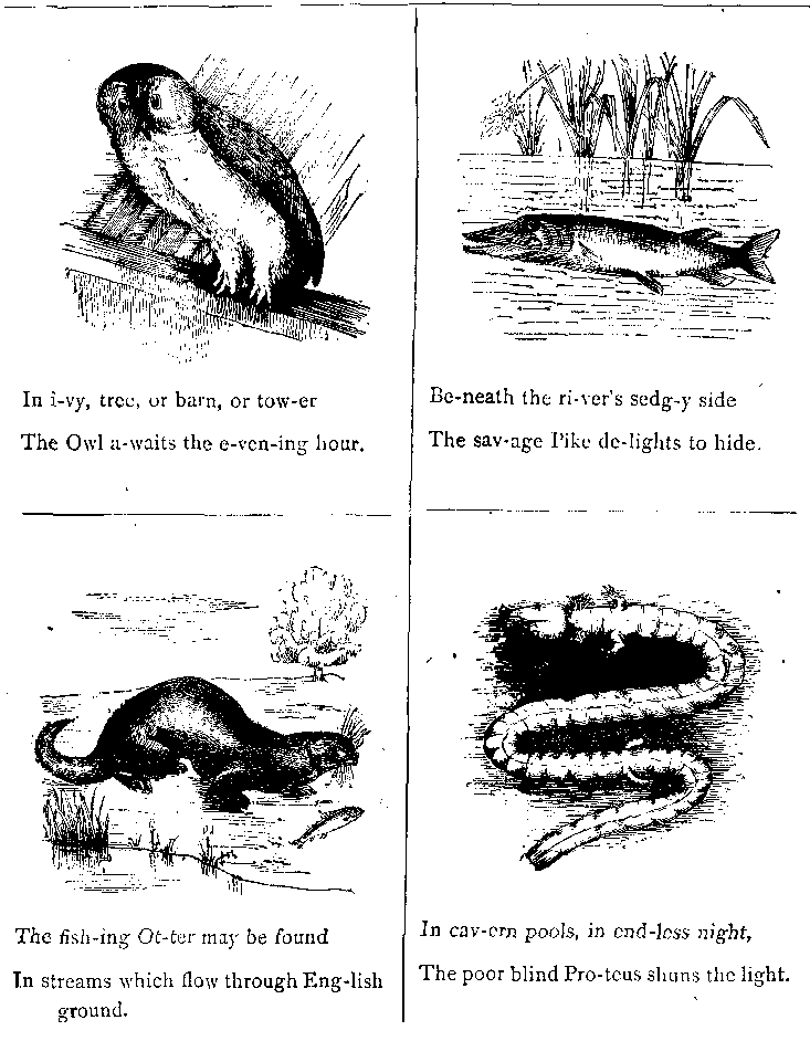 In I-vy, Tree, Or Barn, Or Tow-er The Owl A-waits the E-ven-ing Hour.