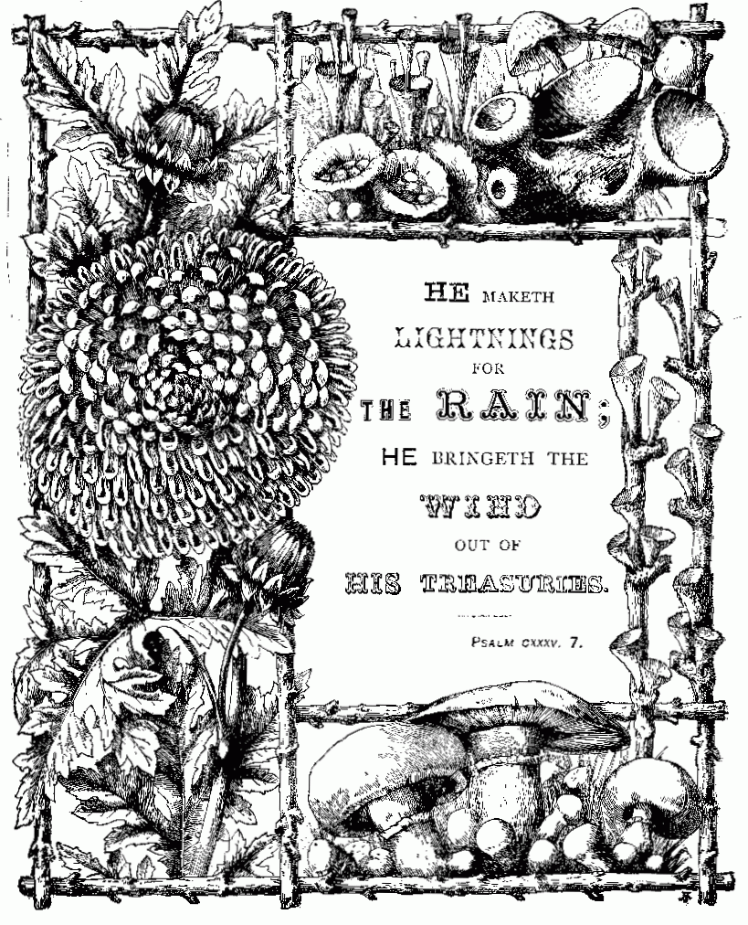 He Maketh Lightnings For the Rain; he Bringeth The Wind out of his Treasuries.