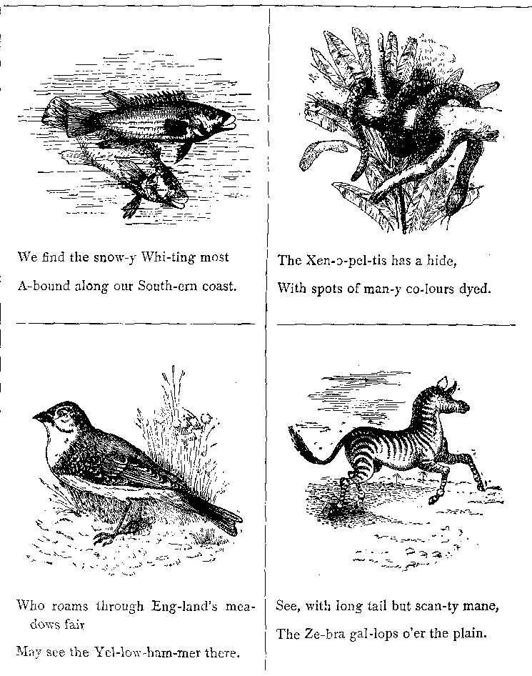 We Find the Snow-y Whi-ting Most A-bound Along Our South-ern Coast.