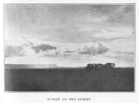 Sunset on the Desert