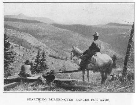 Searching Burned-over Ranges for Game