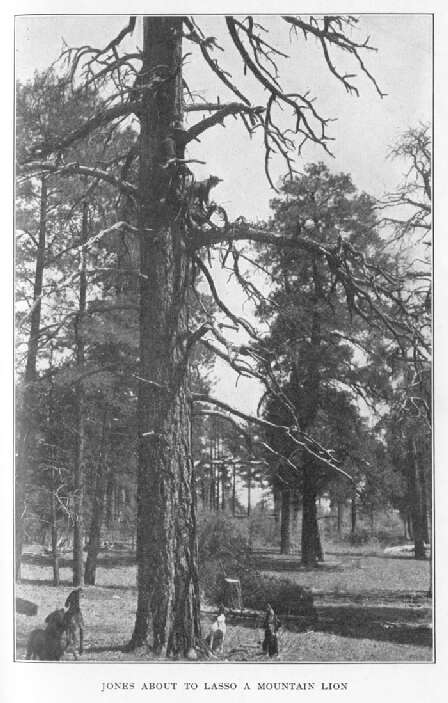 Jones About to Lasso a Mountain Lion