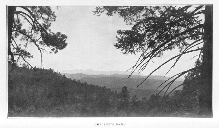 The Tonto Basin