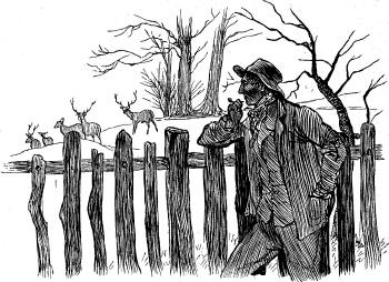 Starlight Tom on the Watch