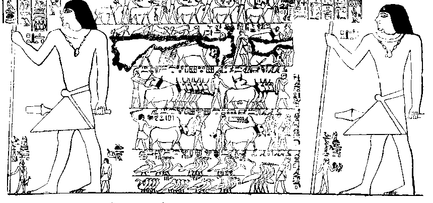 Fig 129.--Wall-scene from mastaba of Ptahhotep, Fifth Dynasty.