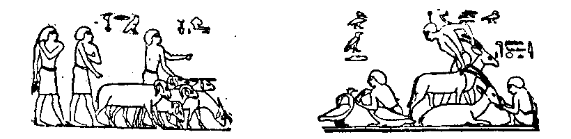 Figs. 164 and 165.--Scenes from the tomb of Khnûmhotep at Beni Hasan, Twelfth Dynasty.