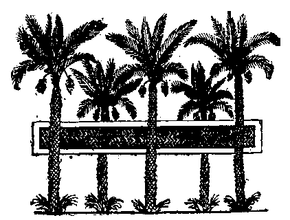 Fig 174.--Pond and palm-trees, from wall painting in tomb of Rekhmara, Eighteenth Dynasty.