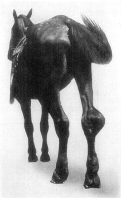 Fig. 59—Another view of same case as illustrated in Fig. 58. Fig. 59—Another view of same case as illustrated in Fig. 58.