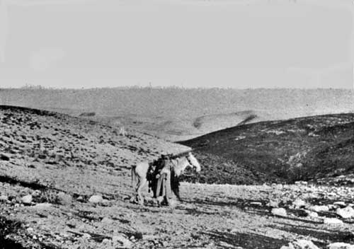 The Wilderness of Judea The Wilderness of Judea