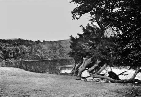 Traditional Place of Christ's Baptism Traditional Place of Christ's Baptism