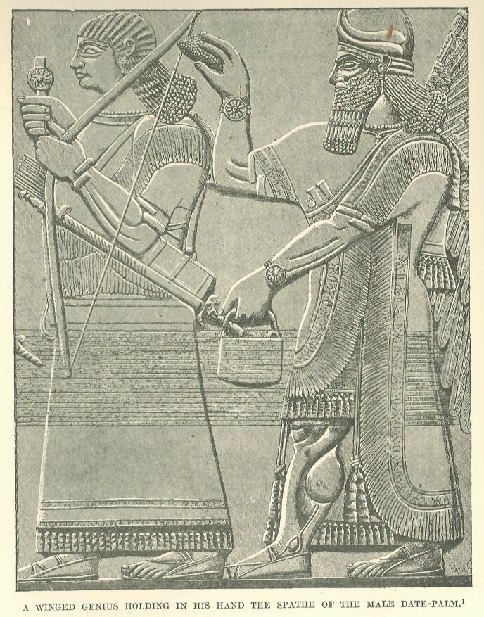 032.jpg a Winged Genius Holding in his Hand the Spathe Of The Male Date-palm.