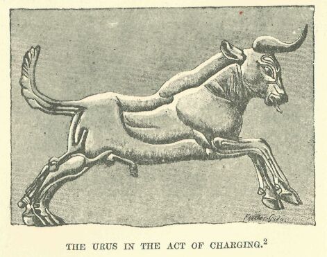 034.jpg the Urus in Act of Charging