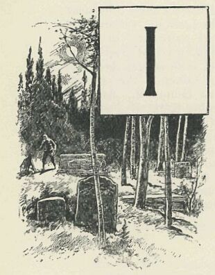 246.jpg Illustrated Capital