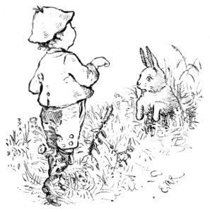 WE CAME,—WE SAW WE CAME,—WE SAW