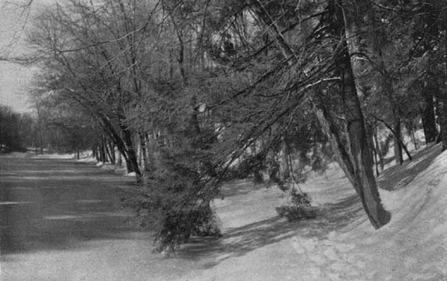 The low, snow-covered meadow that looks like a crystal lake. The low, snow-covered meadow that looks like a crystal lake.