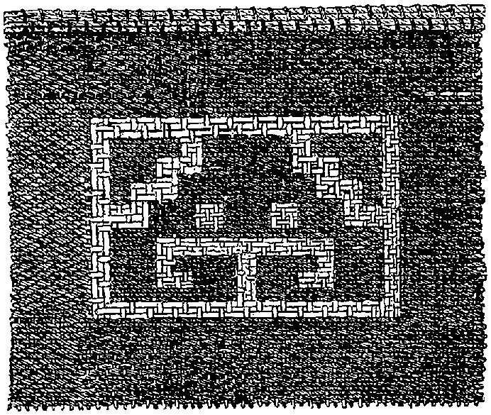 Fig. 334. Piece of cotton cloth showing the use of a supplementary web and woof