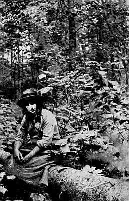 The country through which you pass, with a trailer in the foreground. The country through which you pass, with a trailer in the foreground.