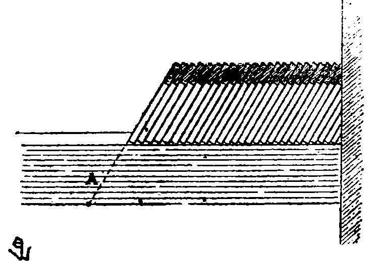 Fig. 5.—Coupe longitudinale. Fig. 5.—Coupe longitudinale.