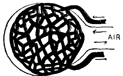 Fig. 39—Diagram to show air and blood movements in a terminal air sac. While the air moves into and from the space within the sac, the blood circulates through the sac walls. Fig. 39