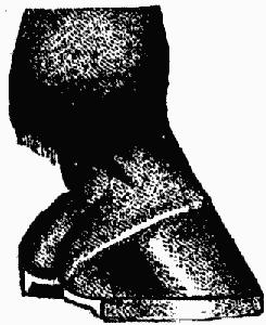 Horse Shoe Horse Shoe