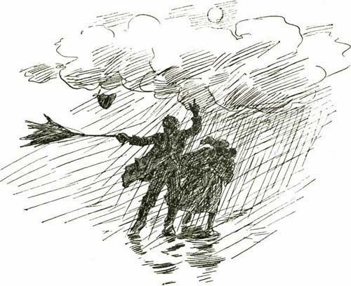 THE RAIN-CROW THE RAIN-CROW