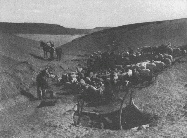 Jeditoh - Navaho Illustration: Jeditoh - Navaho