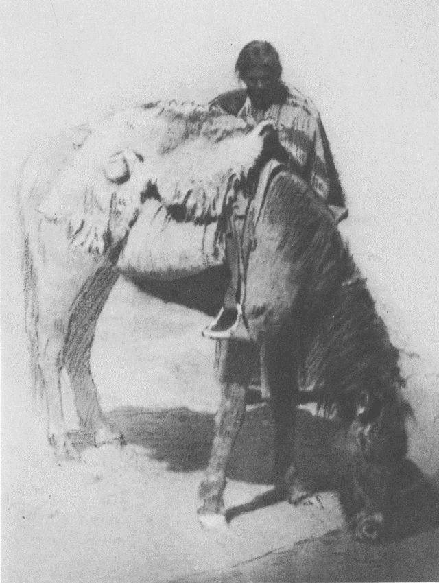 A Drink in the Desert - Navaho Illustration: A Drink in the Desert - Navaho