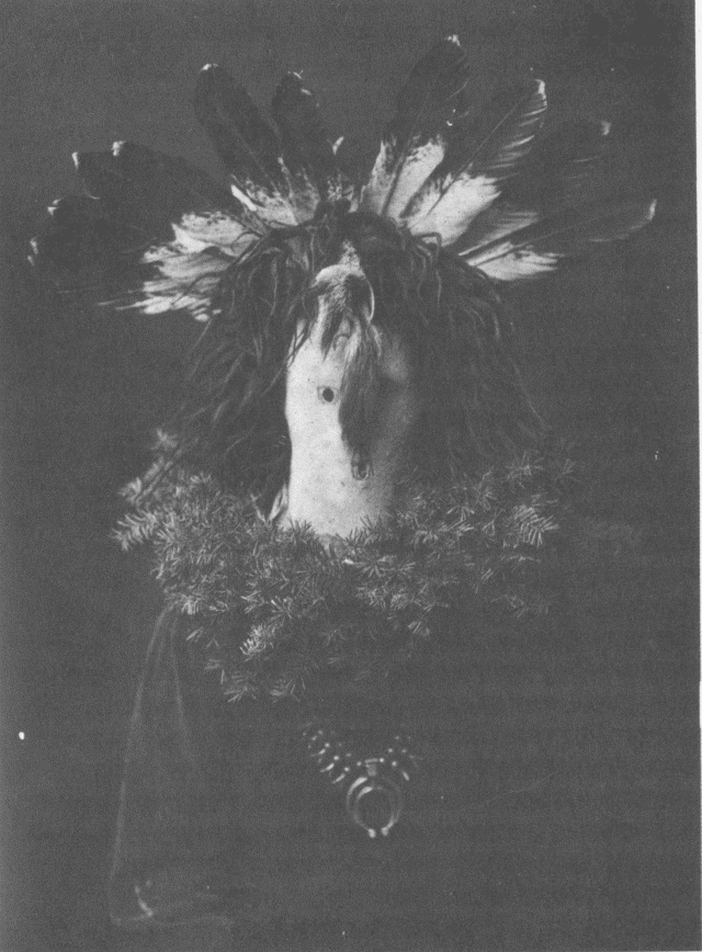 Haschógan - Navaho Illustration: Haschógan - Navaho