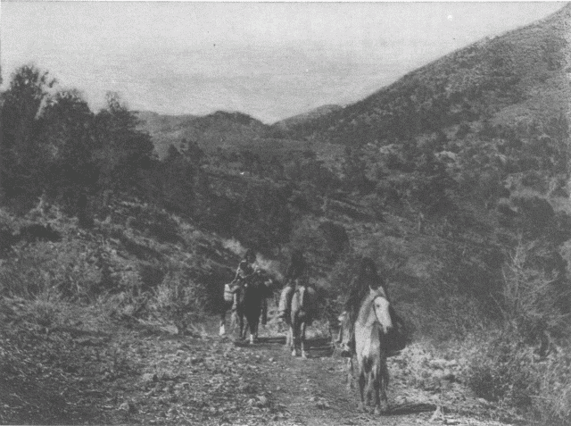 White River Valley - Apache Illustration: White River Valley - Apache