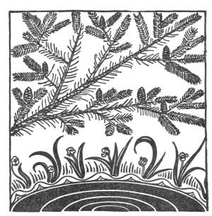 The Story of the Brother Who Knew That Good Was Stronger Than Evil The Story of the Brother Who Knew That Good Was Stronger Than Evil