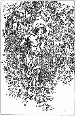 "It's Grace!" "It's Grace!"