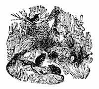 Nor envy him who better fares Illustration 076