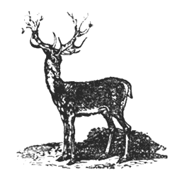 He had to fast or die of hunger Illustration 233