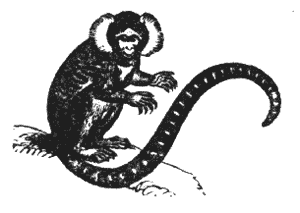 That royal power suits very few indeed Illustration 264