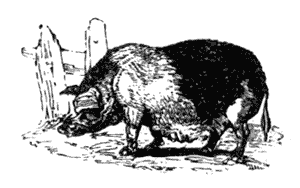 And could not alter her sad fate Illustration 279