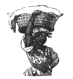 Her fine scheme in despair Illustration 283