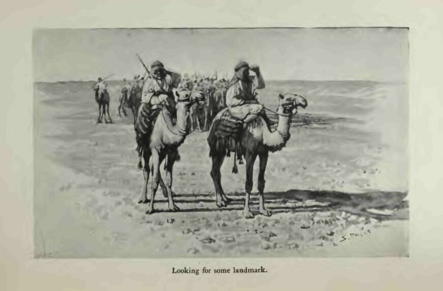 Looking for Some Landmark P124