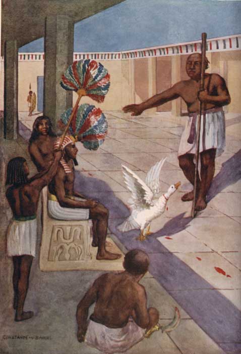 PLATE 8.  "AND THE GOOSE STOOD UP AND CACKLED."