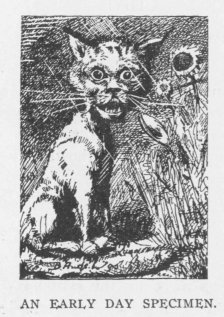 AN EARLY DAY SPECIMEN.