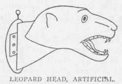 LEOPARD HEAD, ARTIFICIAL.