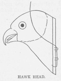 HAWK HEAD.
