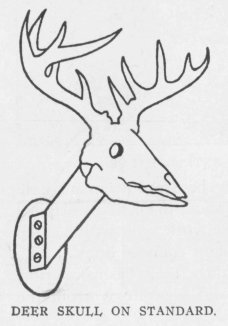 DEER SKULL ON STANDARD.