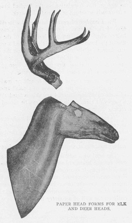 PAPER HEAD FORMS FOR ELK AND DEER HEADS.