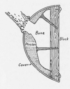 MOUNTING HORNS AND ANTLERS.