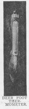 DEER FOOT THERMOMETER.